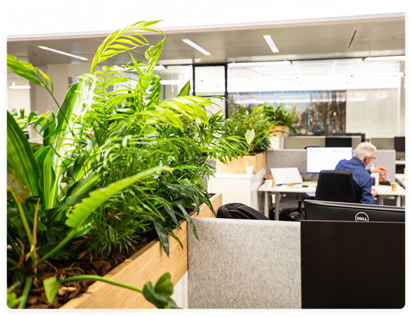 We are reducing our carbon footprint